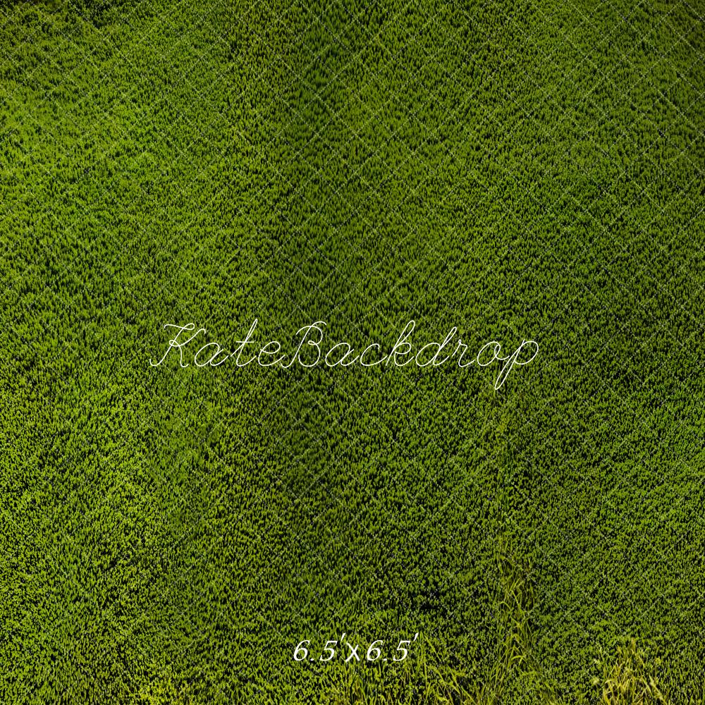 Kate Grassland Backdrop Designed by Emetselch - Kate Backdrop AU
