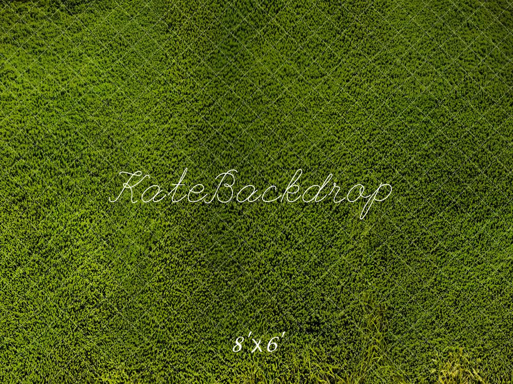 Kate Grassland Backdrop Designed by Emetselch - Kate Backdrop AU