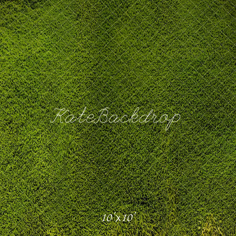 Kate Grassland Backdrop Designed by Emetselch - Kate Backdrop AU