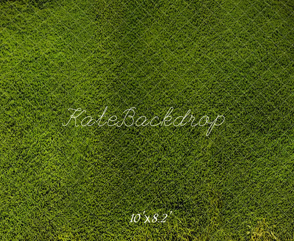 Kate Grassland Backdrop Designed by Emetselch - Kate Backdrop AU