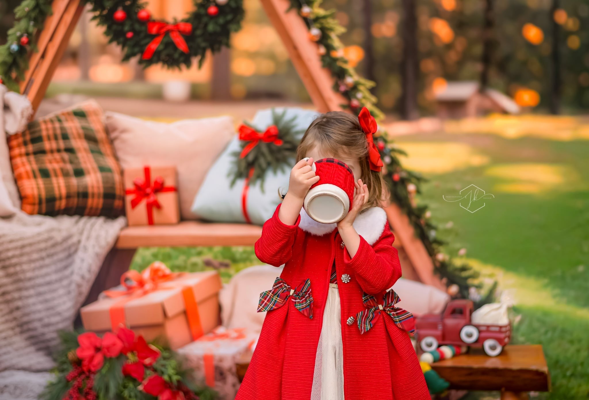 Kate Outdoor Forest Grassland Christmas Backdrop Designed by Emetselch
