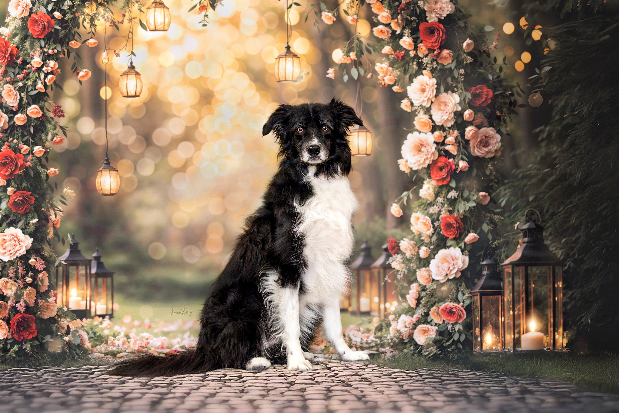 Kate Flower Arch Backdrop Valentine's Day Wedding Spring Designed by Emetselch - Kate Backdrop AU