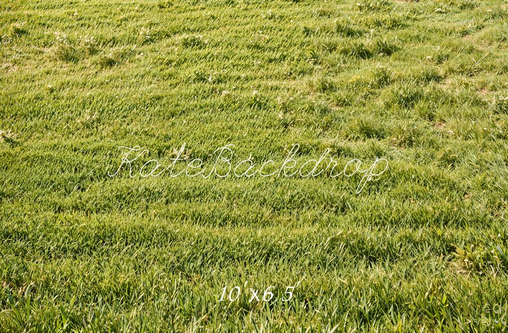 Kate Green Grassland Backdrop Designed by Emetselch