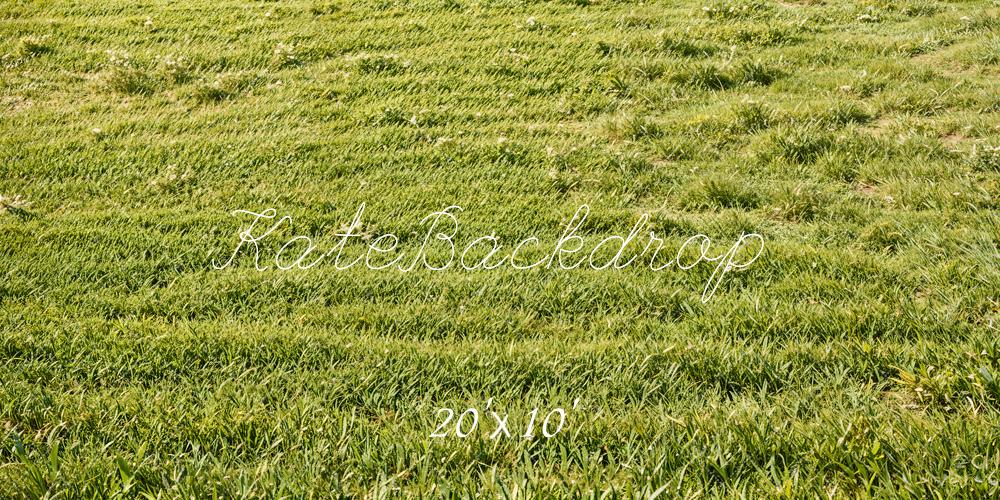 Kate Green Grassland Backdrop Designed by Emetselch