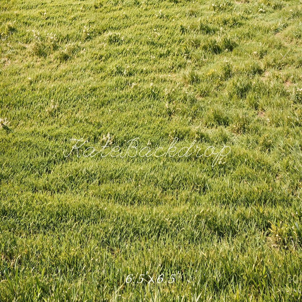 Kate Green Grassland Backdrop Designed by Emetselch
