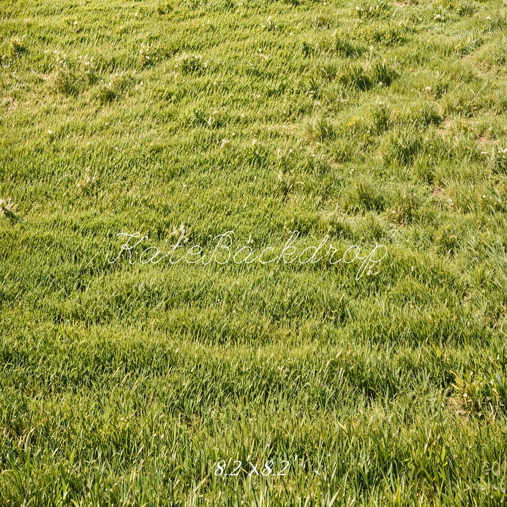 Kate Green Grassland Backdrop Designed by Emetselch