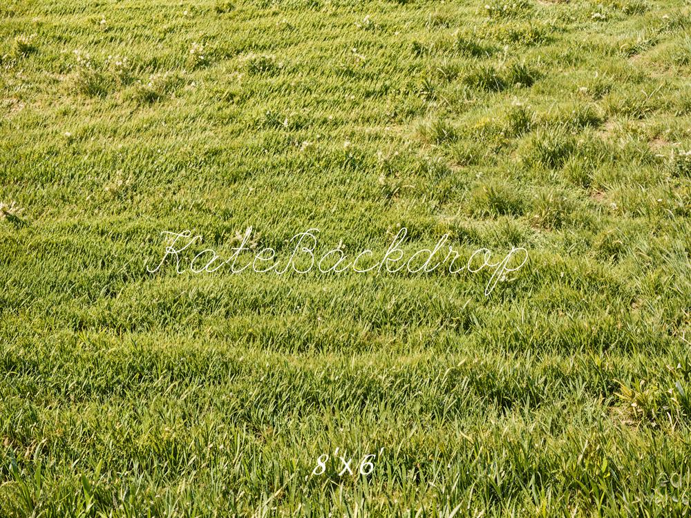 Kate Green Grassland Backdrop Designed by Emetselch