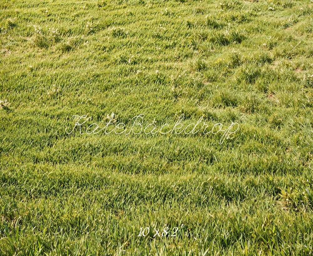 Kate Green Grassland Backdrop Designed by Emetselch