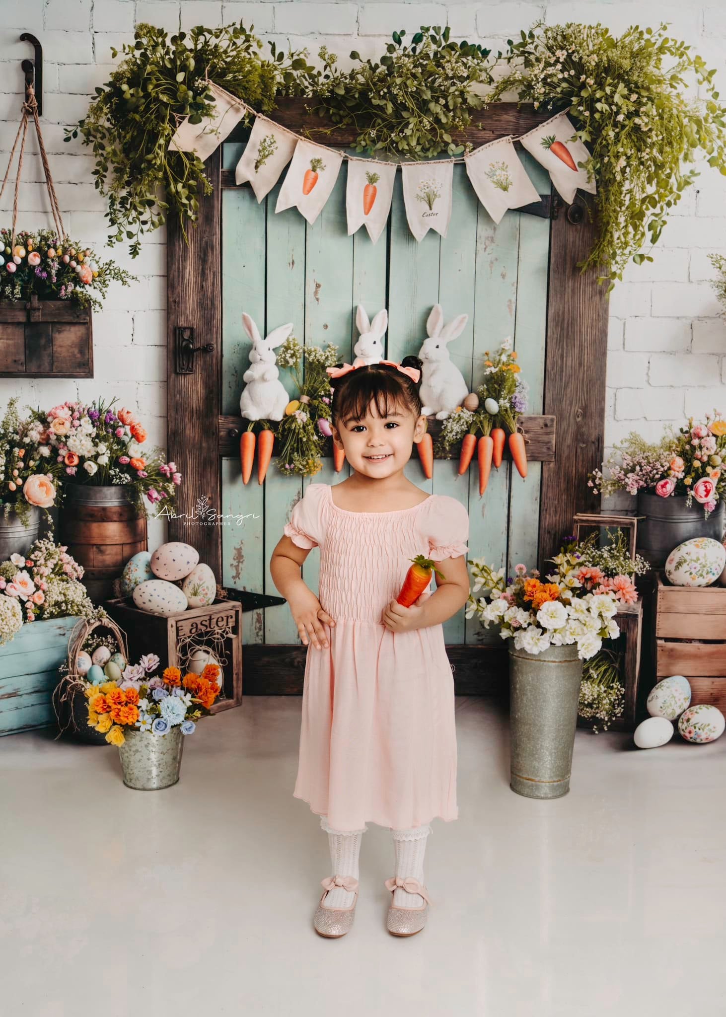 Kate Easter Bunny Carrots Door Wood Backdrop Designed by Emetselch
