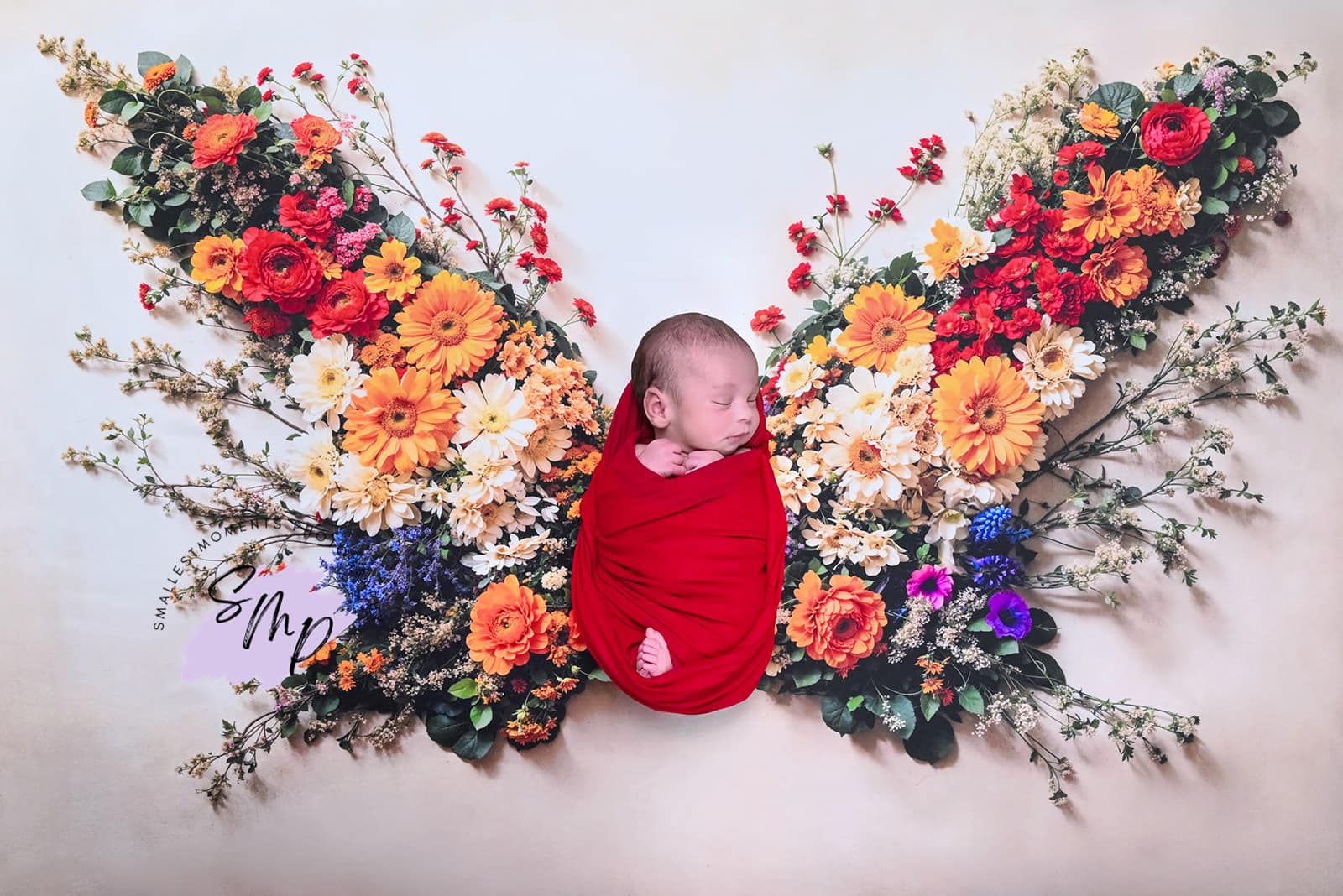 Kate Autumn Flowers Butterfly Baby Backdrop Designed by Chain Photography