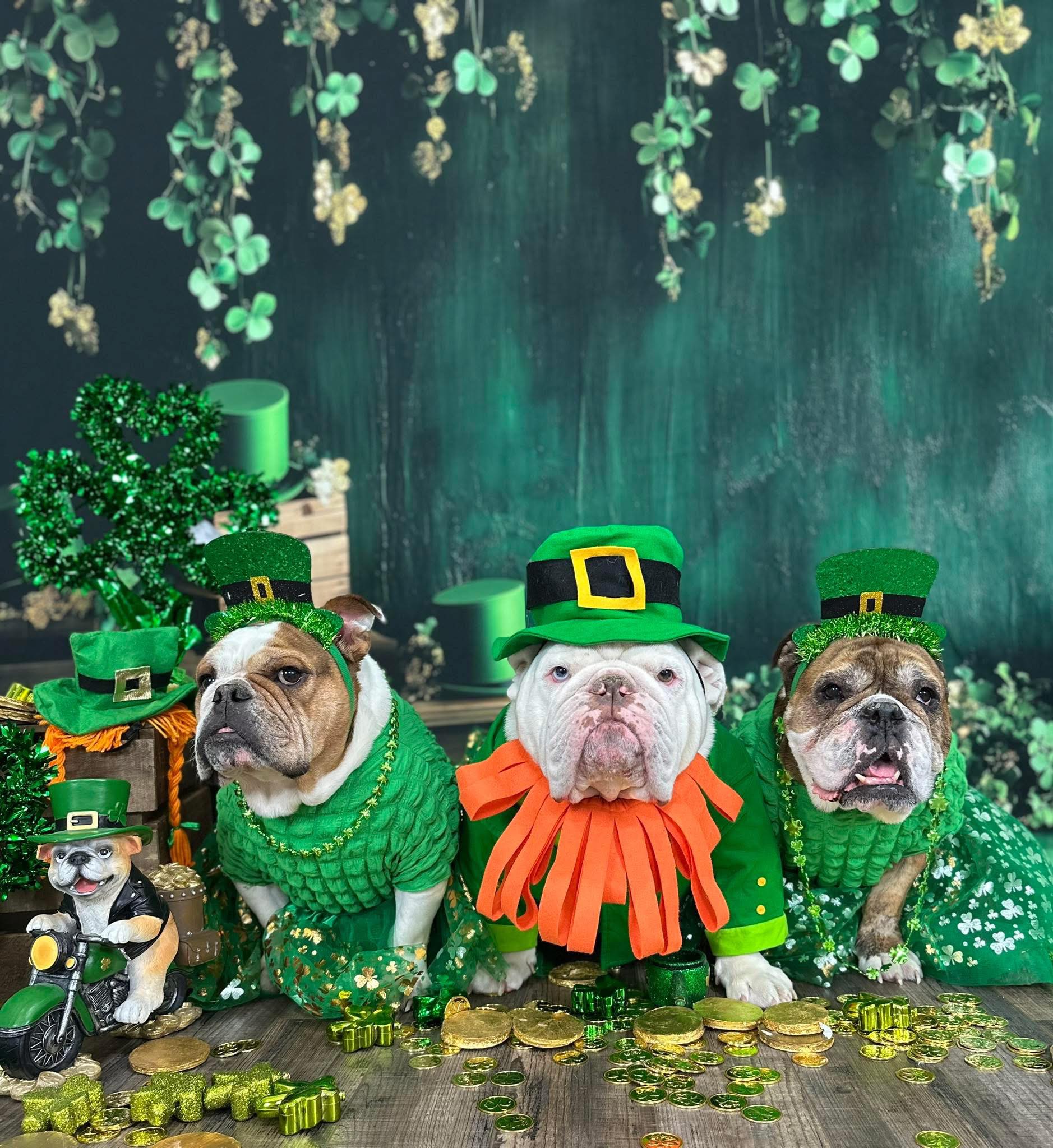 Kate St. Patrick's Day Wall Shamrocks Backdrop Designed by Patty Roberts - Kate Backdrop AU