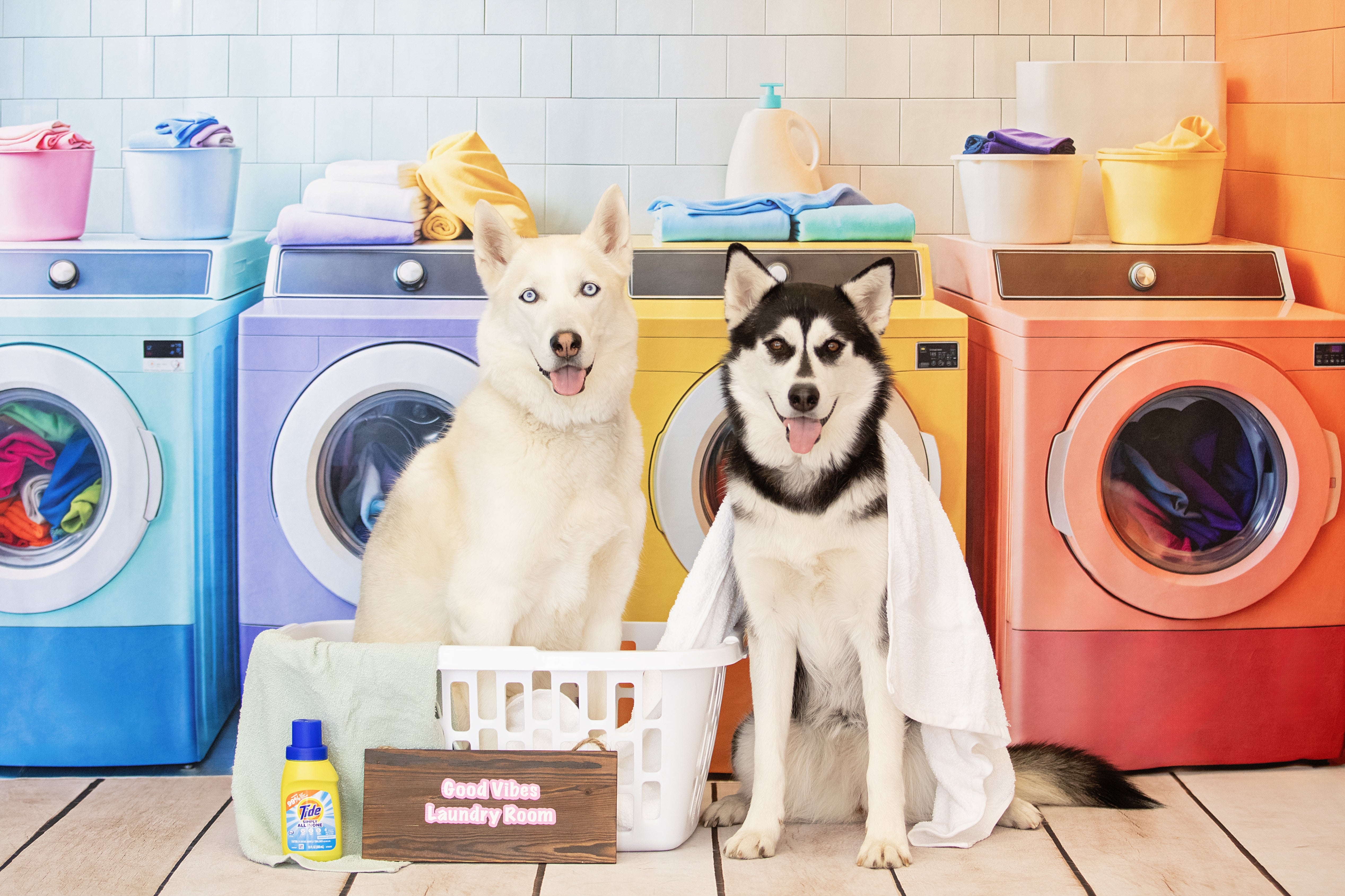 Kate Colorful Laundry Room Backdrop Designed by Emetselch - Kate Backdrop AU