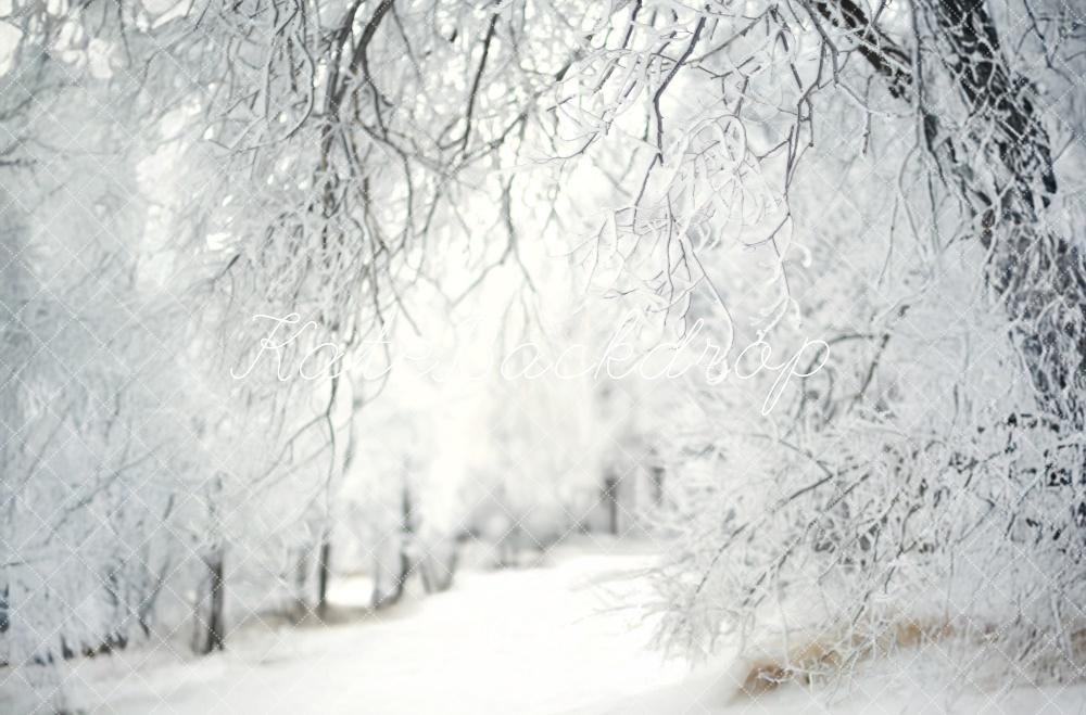 Kate Frosty Lane Winter Backdrop Designed by Lidia Redekopp