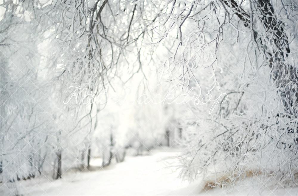 Kate Frosty Lane Winter Backdrop Designed by Lidia Redekopp