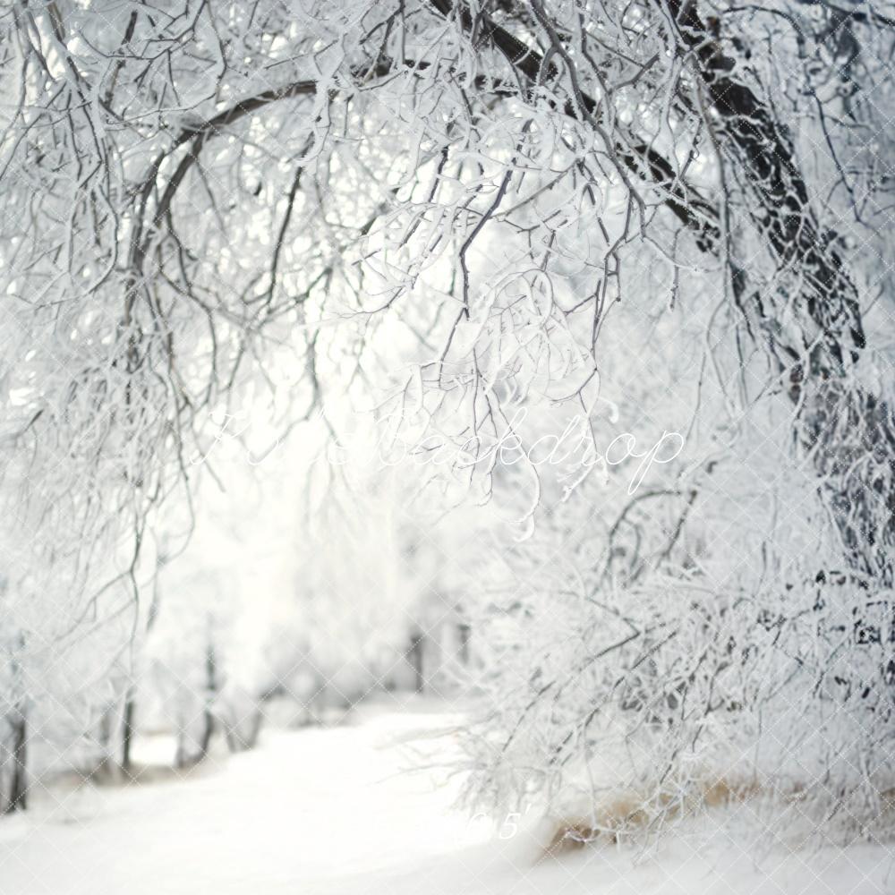 Kate Frosty Lane Winter Backdrop Designed by Lidia Redekopp