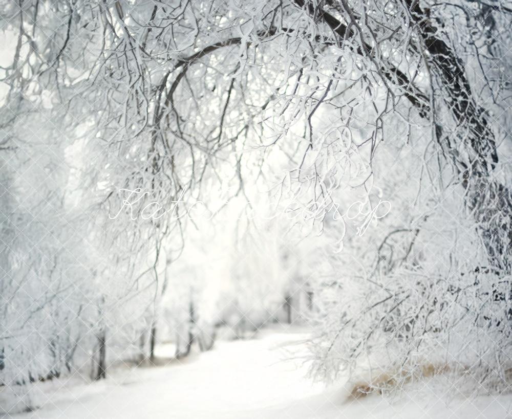 Kate Frosty Lane Winter Backdrop Designed by Lidia Redekopp