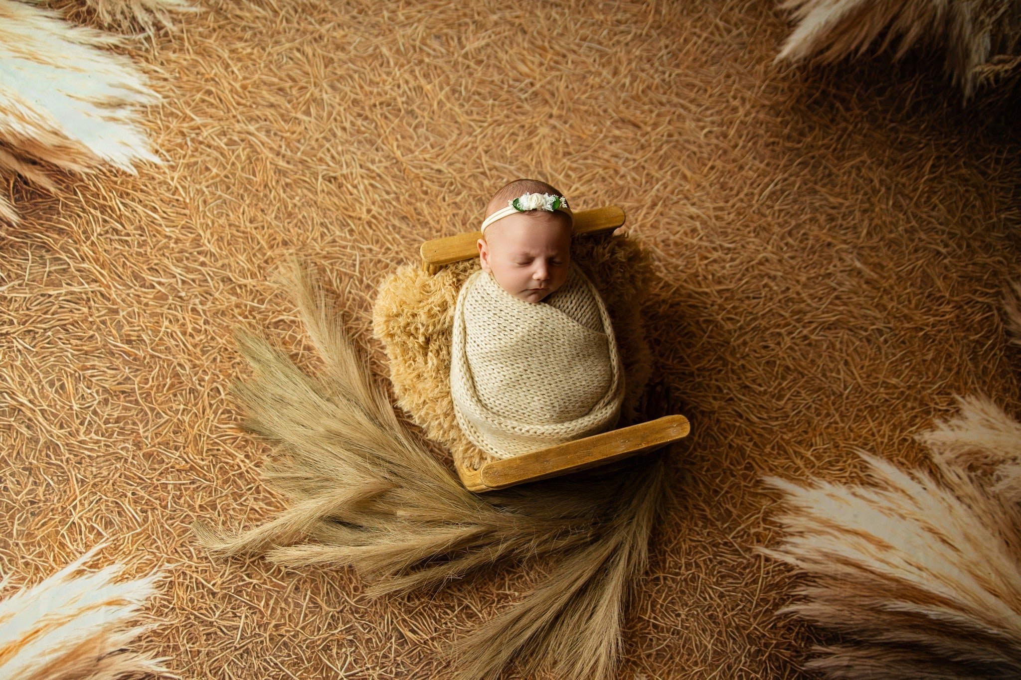Kate Pampas Grass Floor Backdrop Designed by Mini MakeBelieve - Kate Backdrop AU