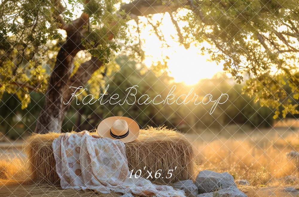 Kate Nature Sunlight Tree Haystack Backdrop Designed by Patty Roberts - Kate Backdrop AU