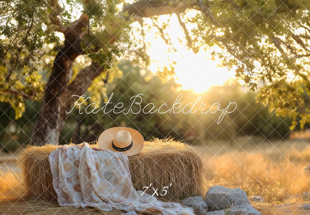 Kate Nature Sunlight Tree Haystack Backdrop Designed by Patty Roberts - Kate Backdrop AU