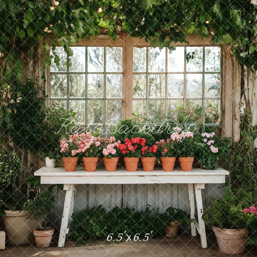 Kate Greenhouse Spring Market Stand Backdrop Designed by Patty Roberts - Kate Backdrop AU