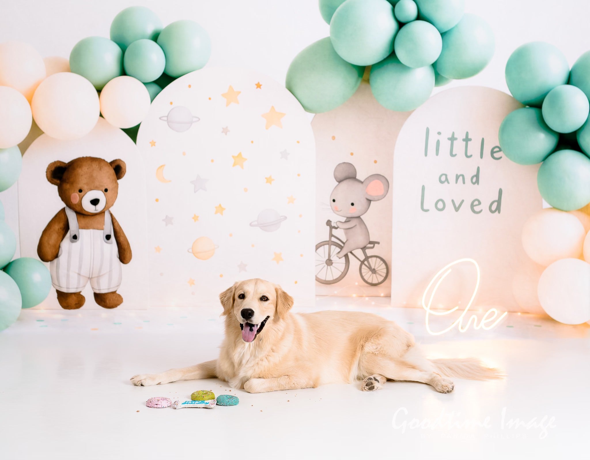 Kate Simple Bear Cake Smash Backdrop Designed by Patty Roberts - Kate Backdrop AU