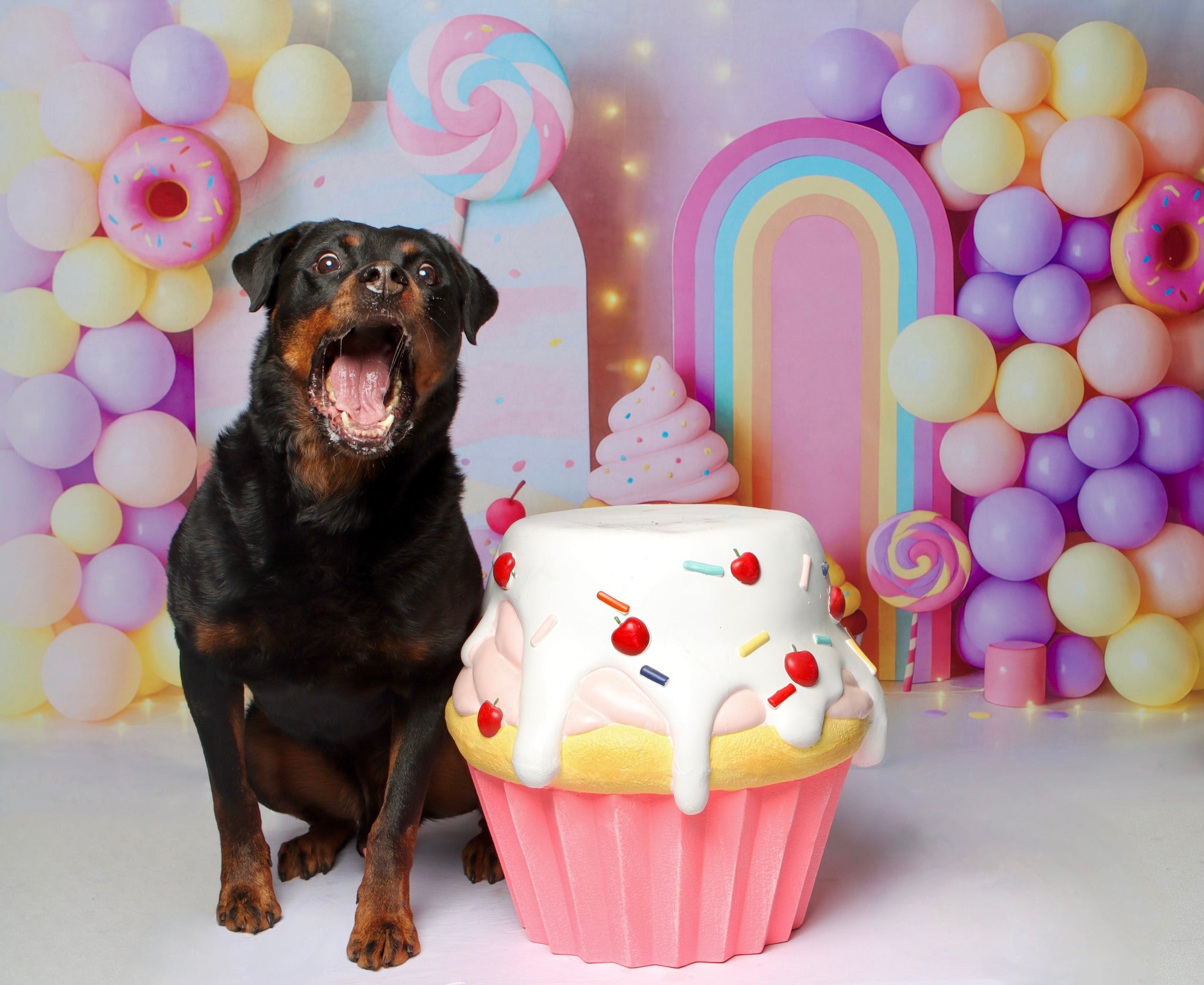 Kate Pastel Sweets Cupcakes Backdrop Designed by Patty Roberts - Kate Backdrop AU
