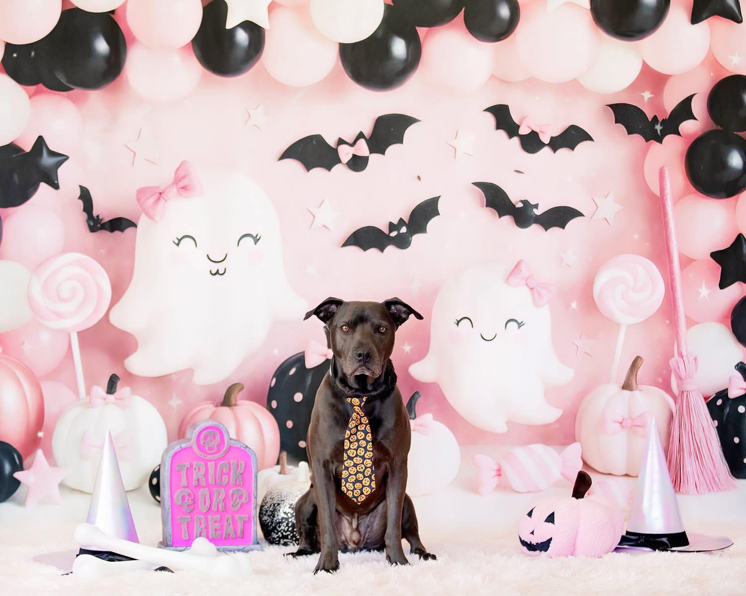 Kate Halloween Ghost Balloons Pumpkins Backdrop Designed by Ashley Paul