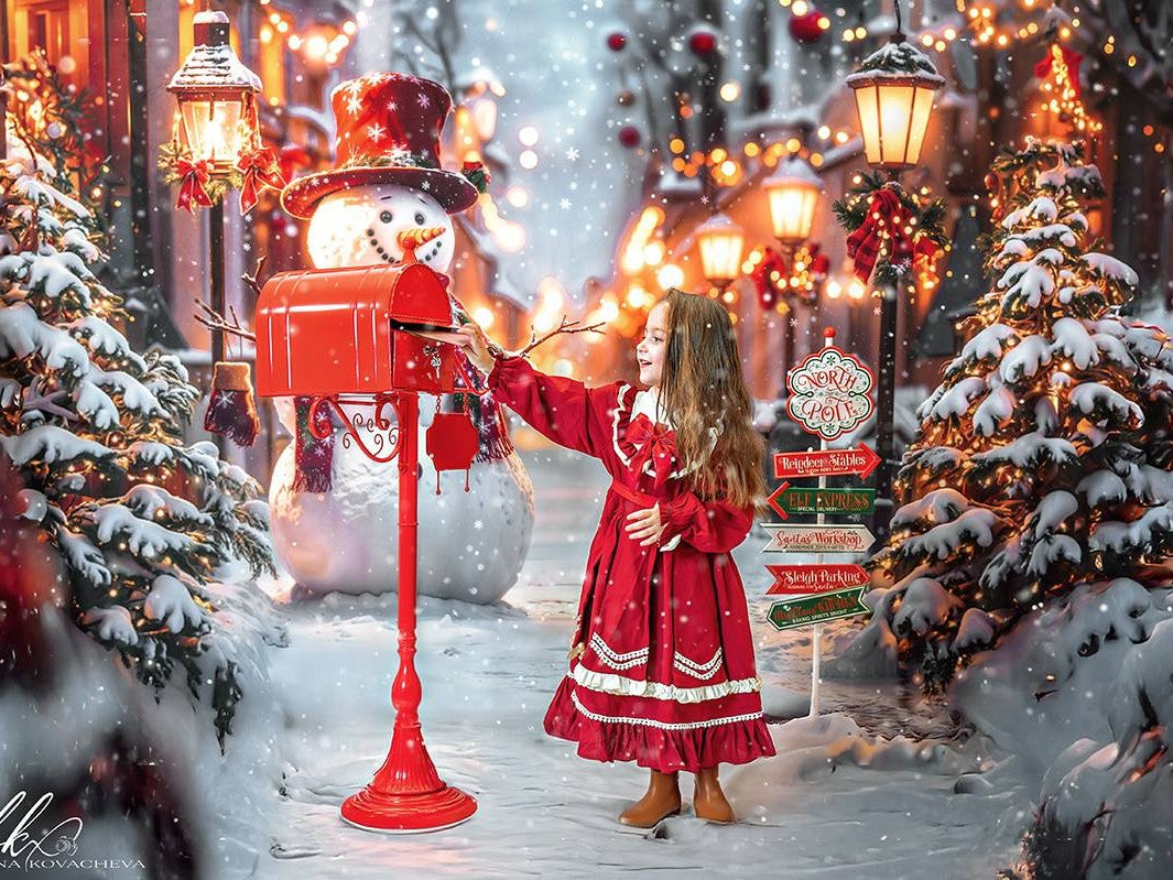 Kate Snowman Street Christmas Backdrop Designed by Emetselch
