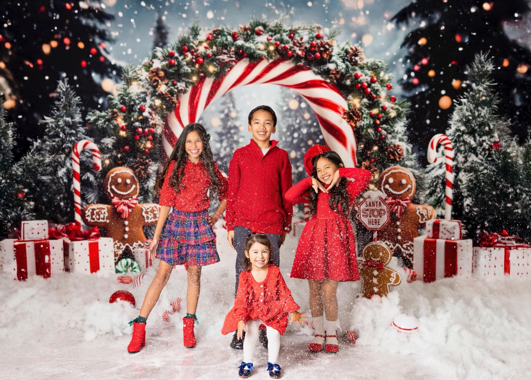 Kate Candy Christmas Gingerbread Backdrop+White Snow Floor Backdrop