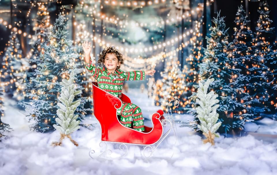 Kate Christmas Snowy Trees String Lights Backdrop Designed by Emetselch - Kate Backdrop AU