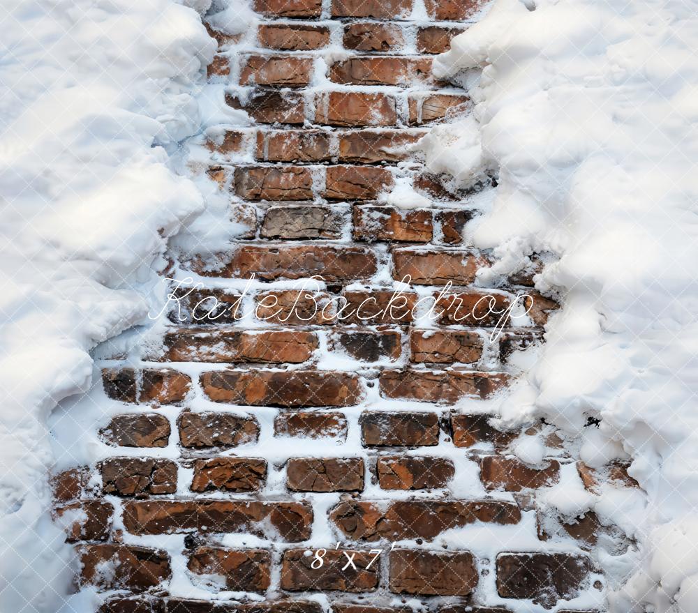 Kate Winter Snow Brick Wall Vinyl Backdrop Floor