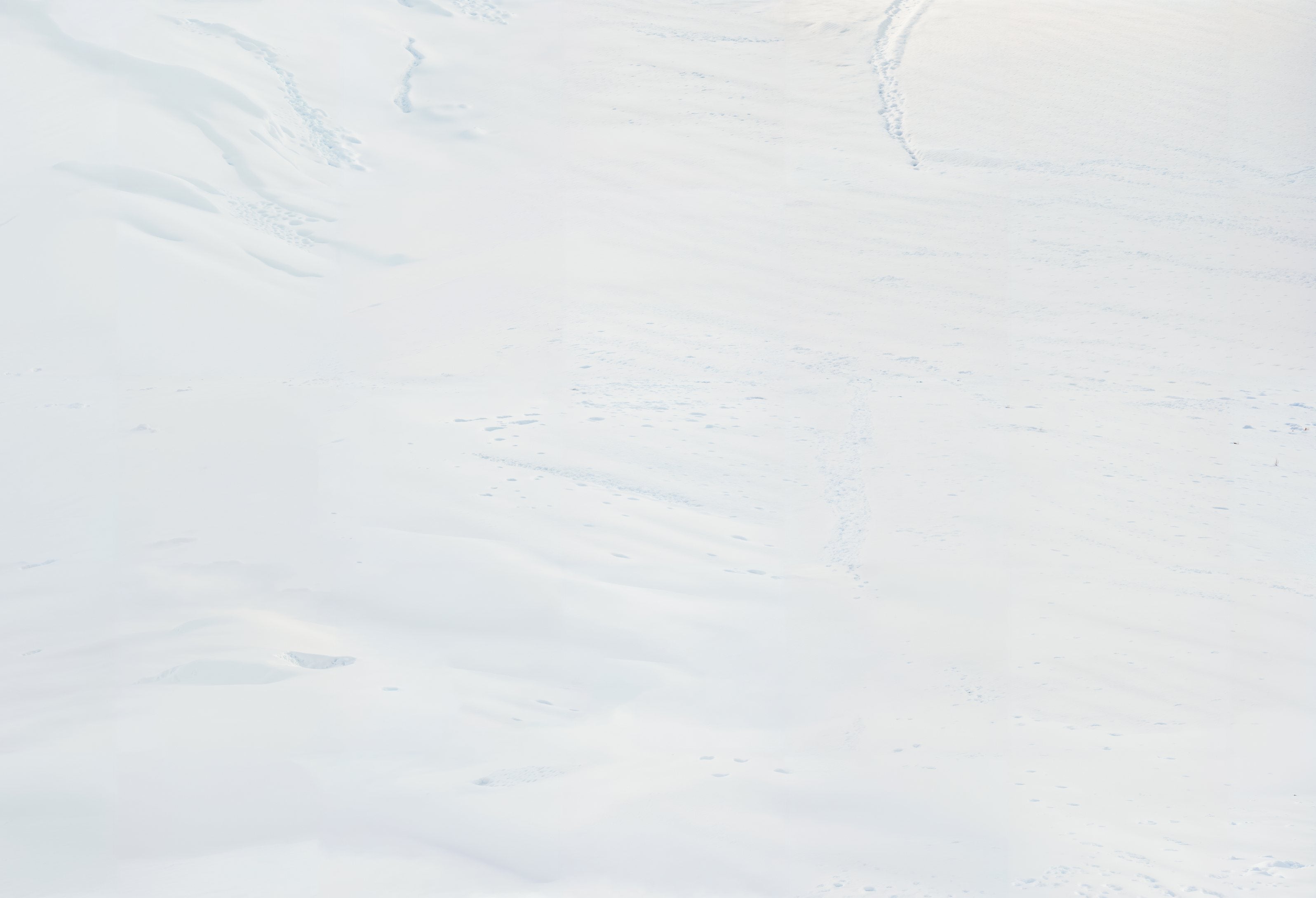 Kate White Snow Vinyl Backdrop Floor - Kate Backdrop AU