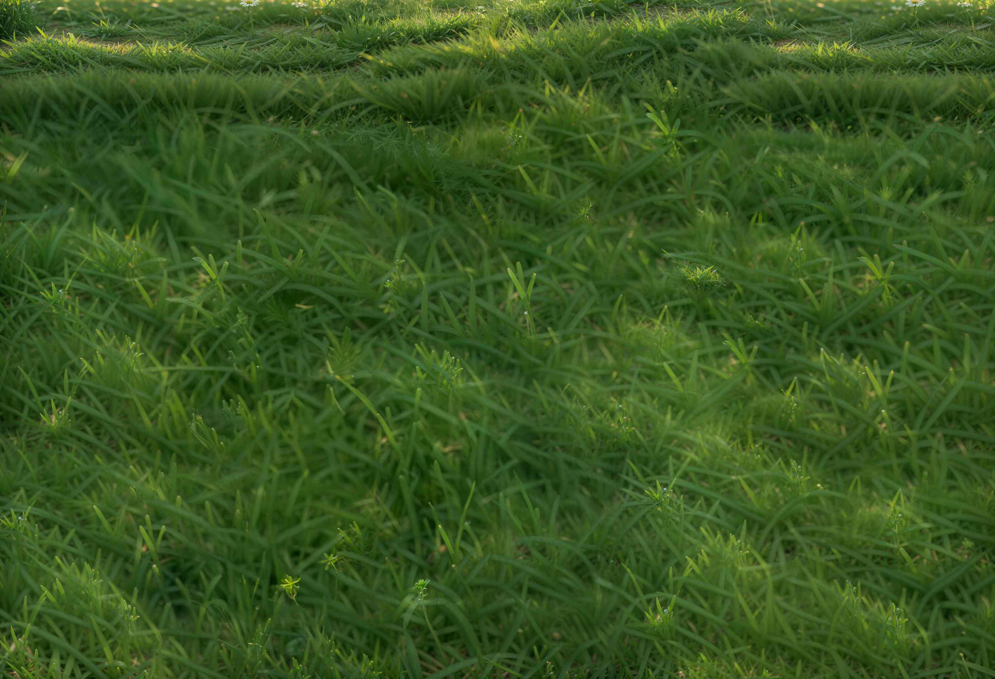Kate Green Grass Vinyl Backdrop Floor - Kate Backdrop AU
