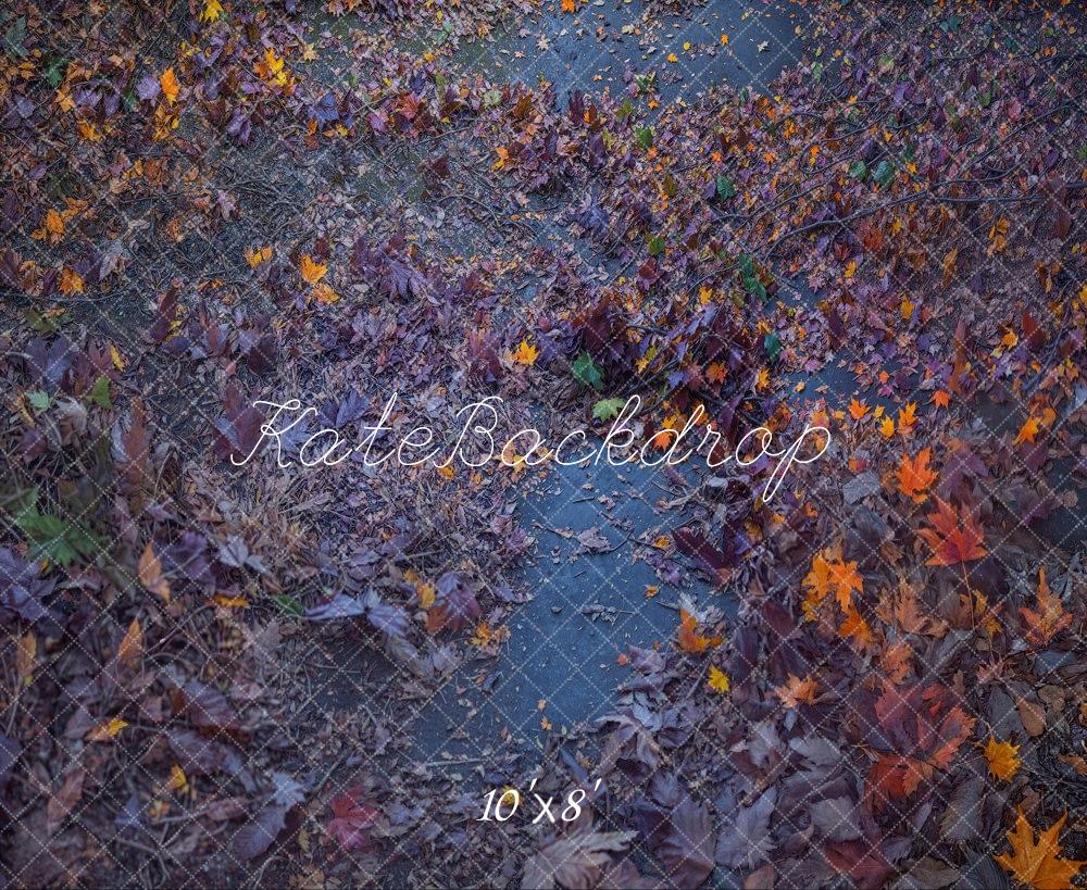 Kate Fleece Halloween Fallen Leaves Path Backdrop Designed by Emetselch - Kate Backdrop AU
