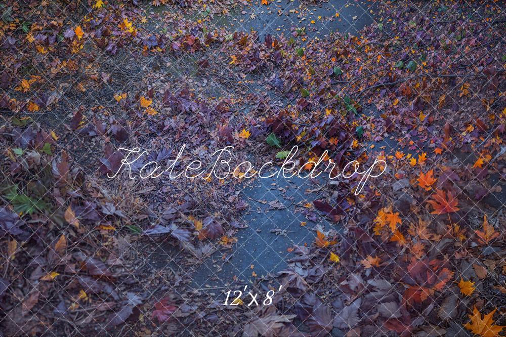 Kate Fleece Halloween Fallen Leaves Path Backdrop Designed by Emetselch - Kate Backdrop AU
