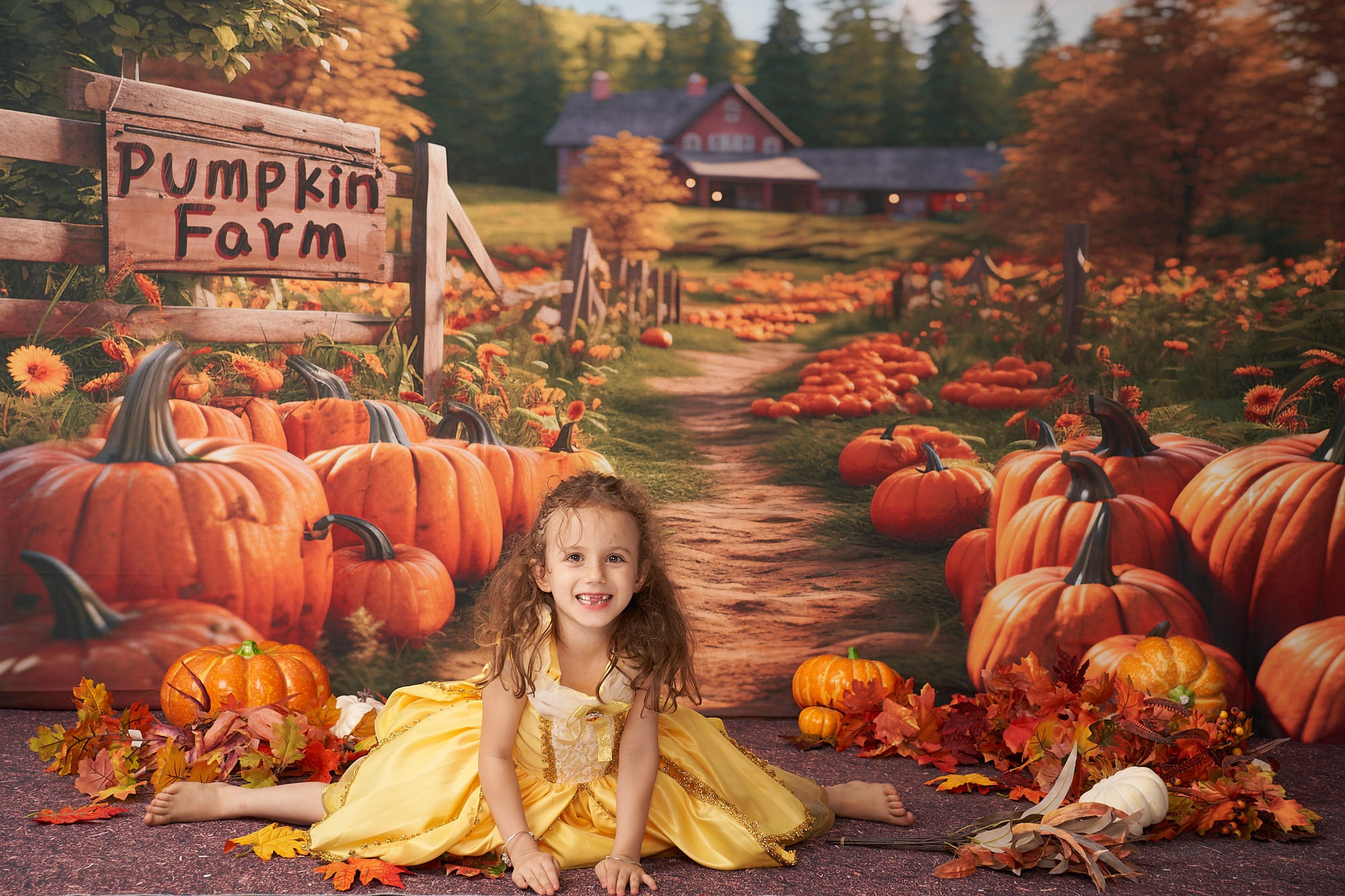 Kate Autumn Pumpkin Farm Backdrop Designed by Emetselch