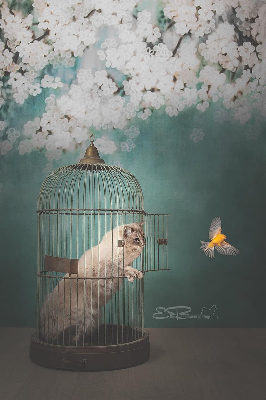 Kate Retro Style Green Flowers Backdrops for Children