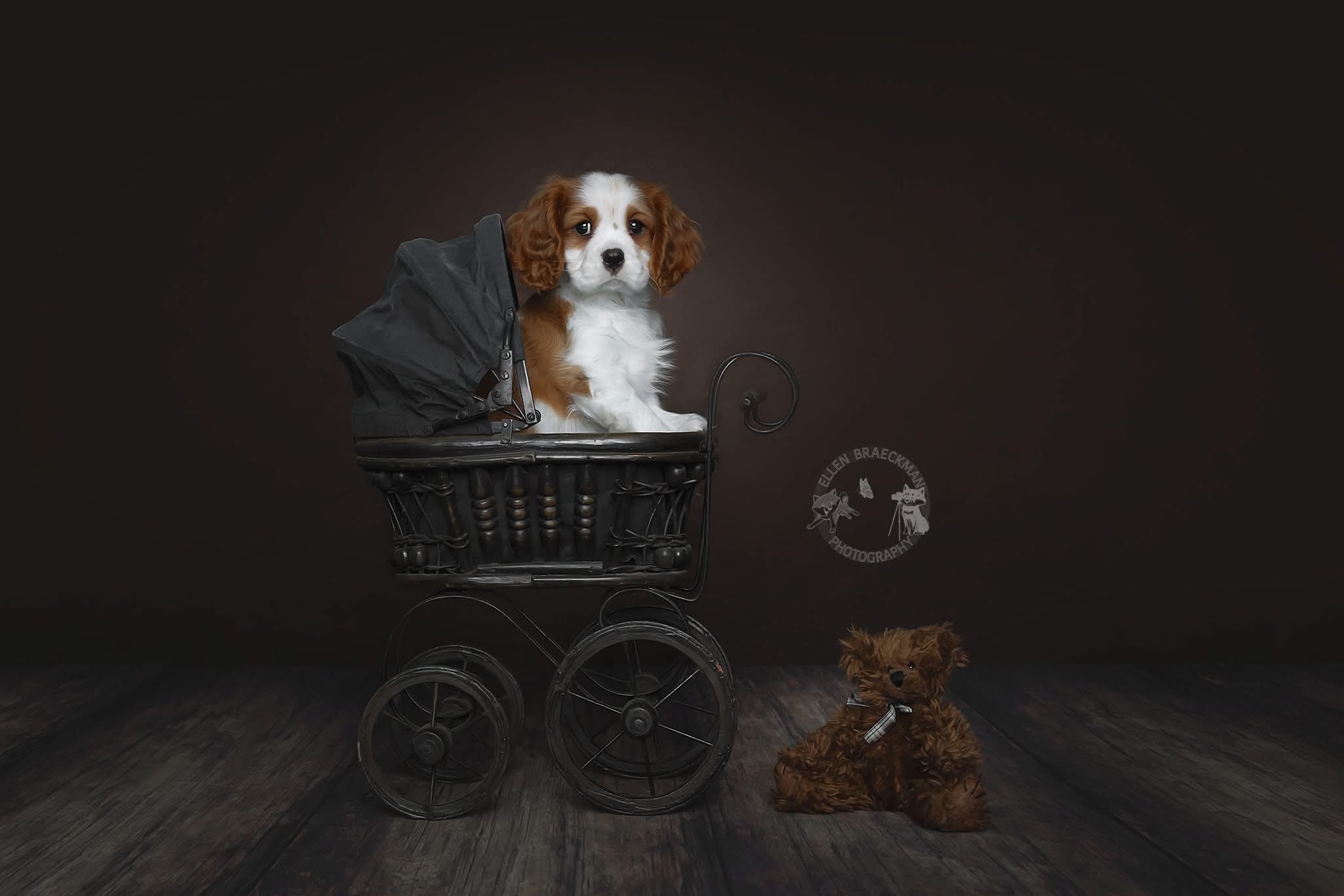 Kate Cocoa Brown Seamless Paper Backdrop for Photography