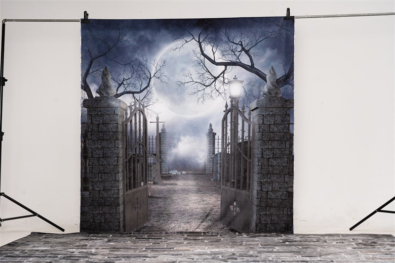 Kate Halloween fabric Backdrop for photography Haunted house