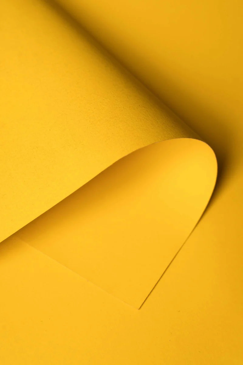 Kate Forsythia Yellow Seamless Paper Backdrop for Photography