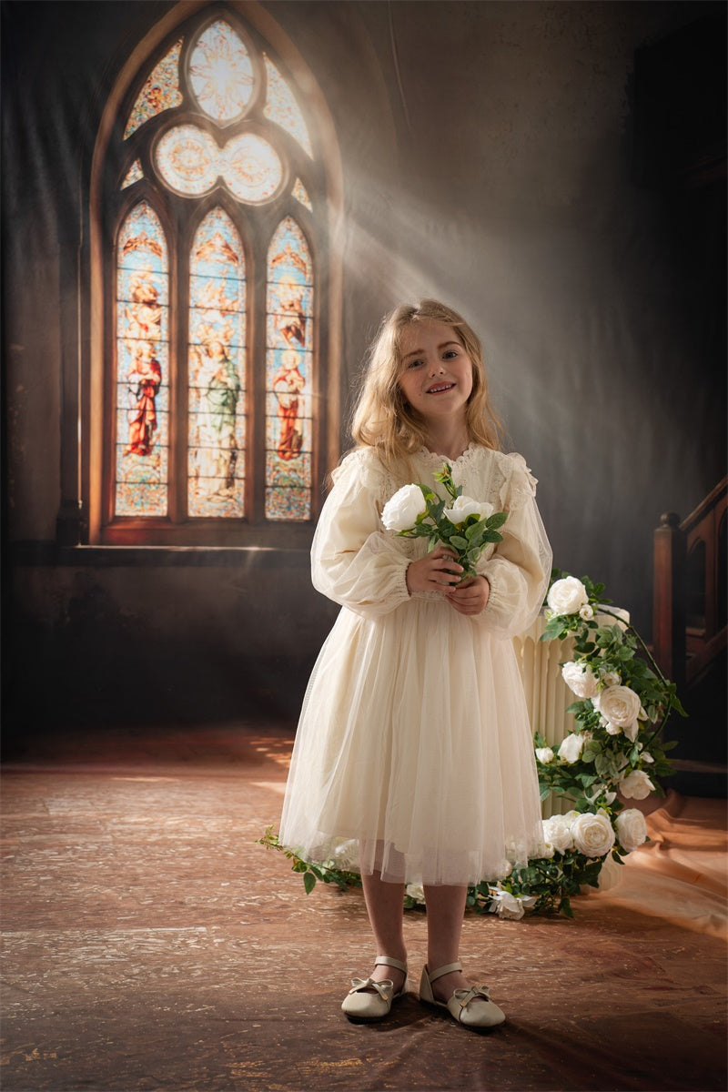 Kate Stained Glass Window Staircase Sunlight Fleece Backdrop Designed by Emetselch - Kate Backdrop AU