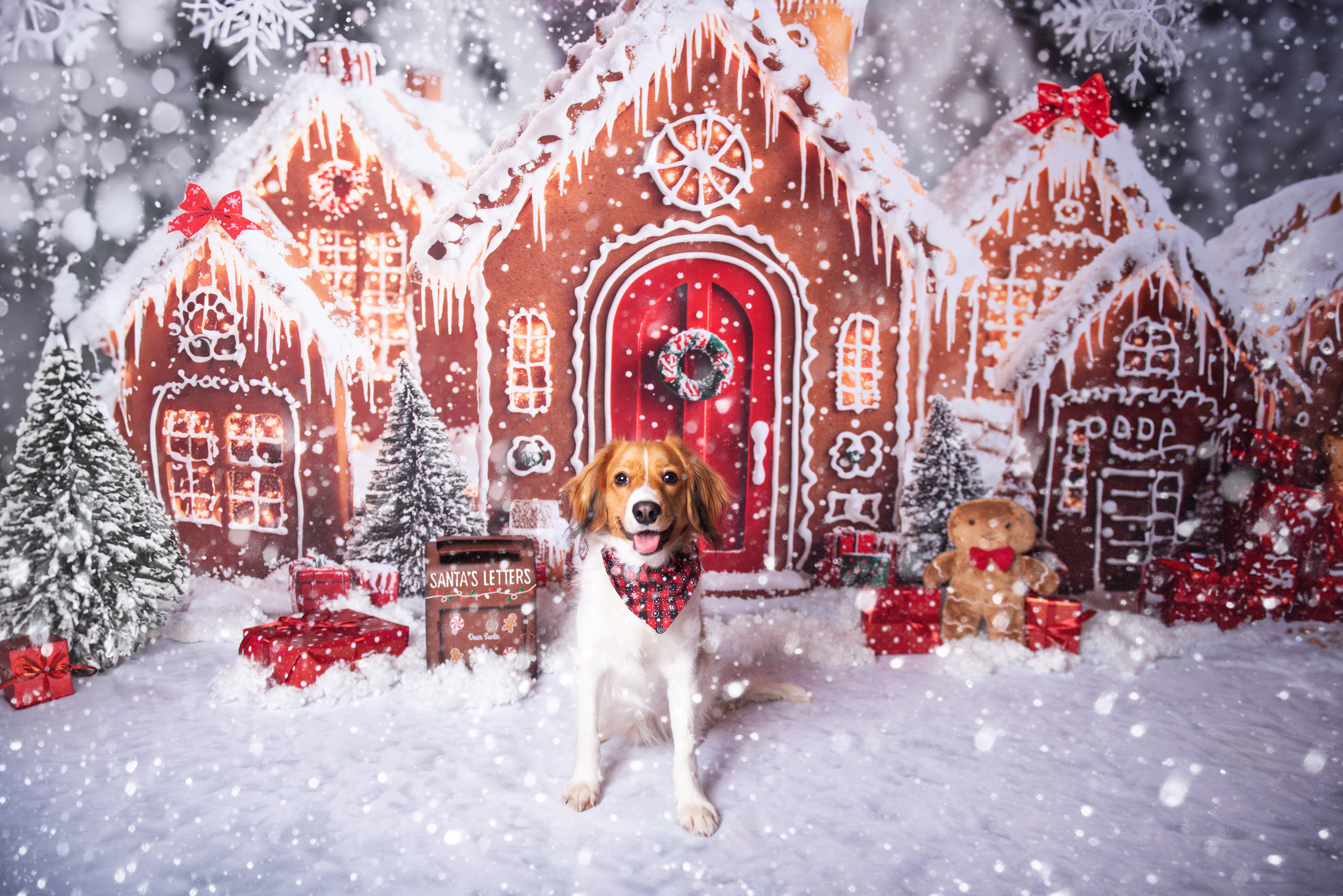 Kate Christmas Gingerbread Houses Snowy Backdrop+Winter Snow Floor Backdrop