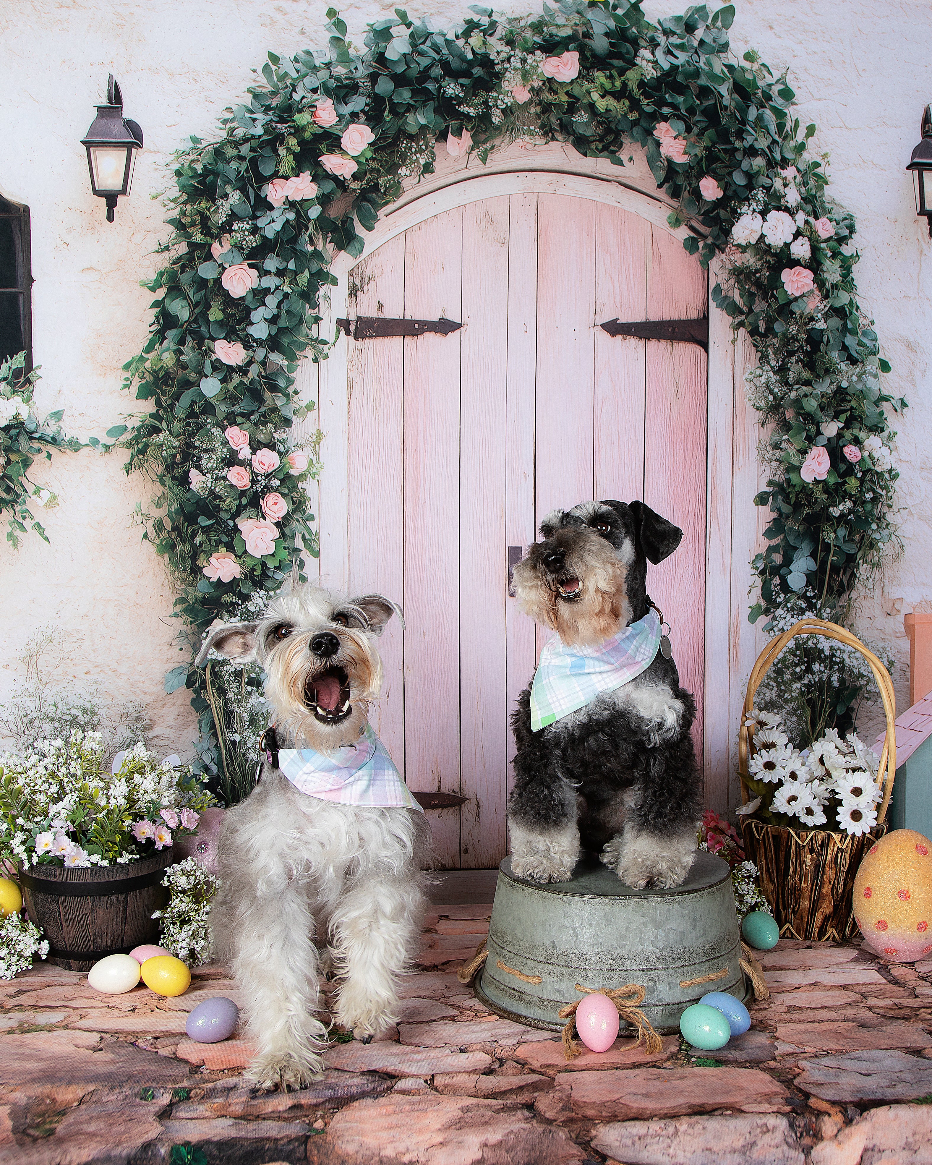 Kate Easter Bunny Arch Door Backdrop Designed by Patty Roberts - Kate Backdrop AU