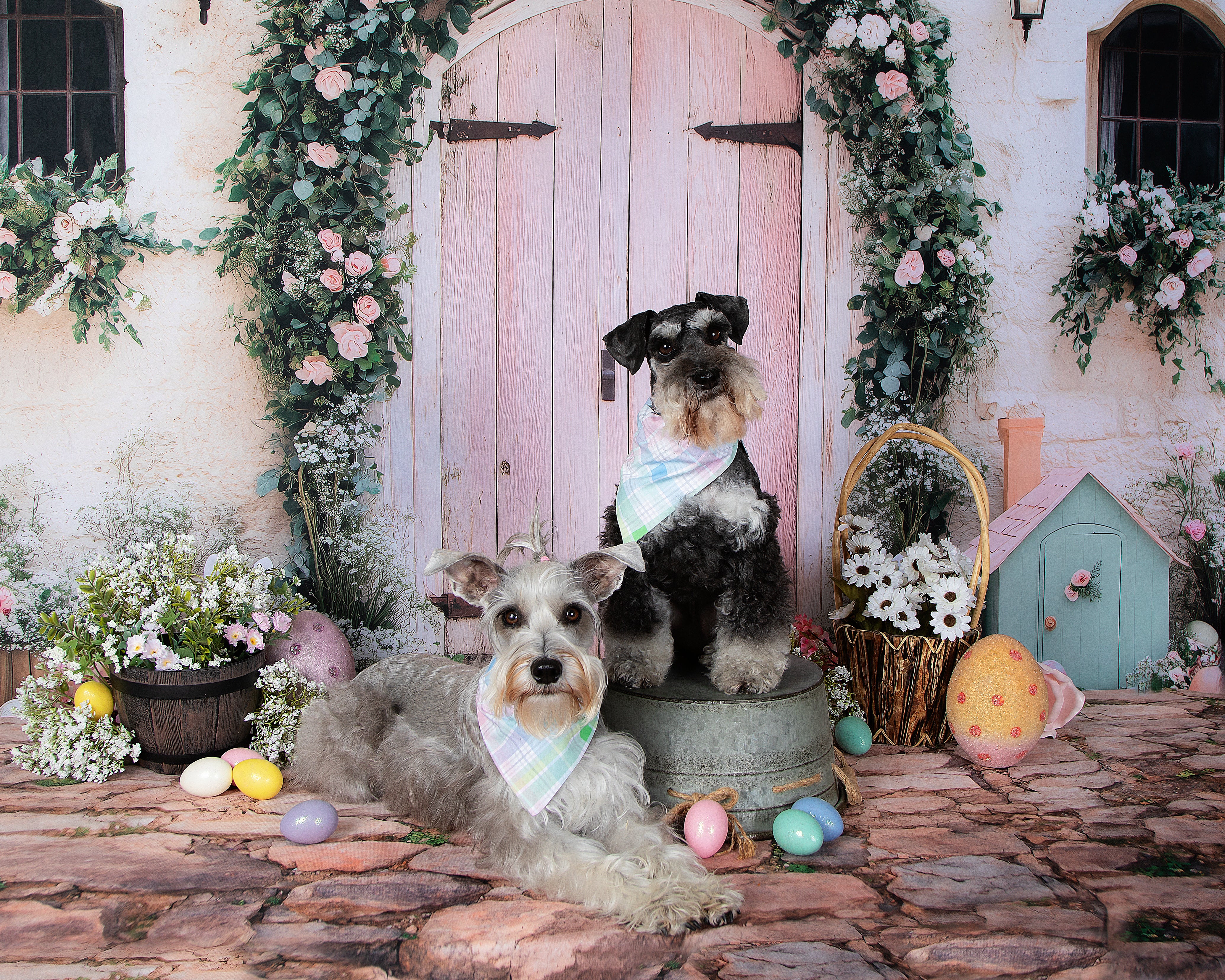 Kate Easter Bunny Arch Door Backdrop Designed by Patty Roberts - Kate Backdrop AU