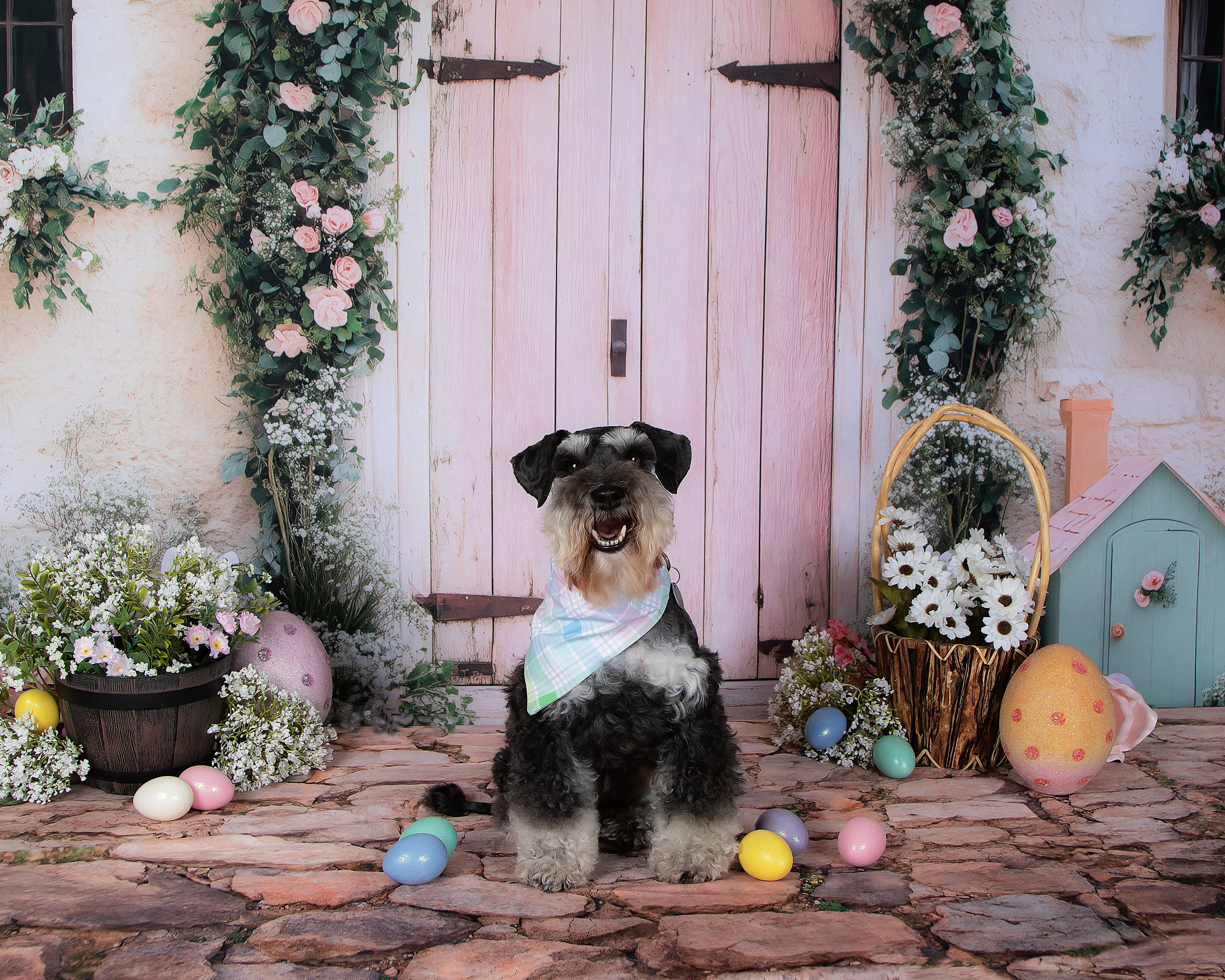 Kate Easter Bunny Arch Door Backdrop Designed by Patty Roberts - Kate Backdrop AU
