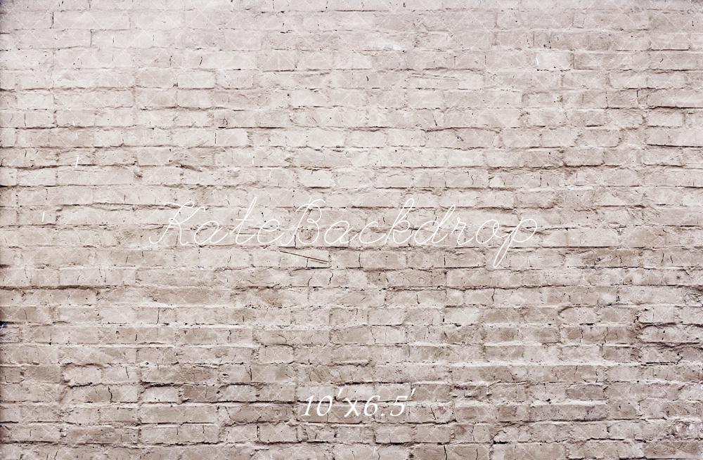Textured stone wall backdrop with dimensions '10' x '6.5'"'.