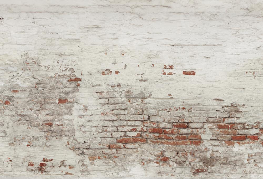 Kate Damaged Brick White Wall  Backdrop for Photography Designed by Pine Park Collection