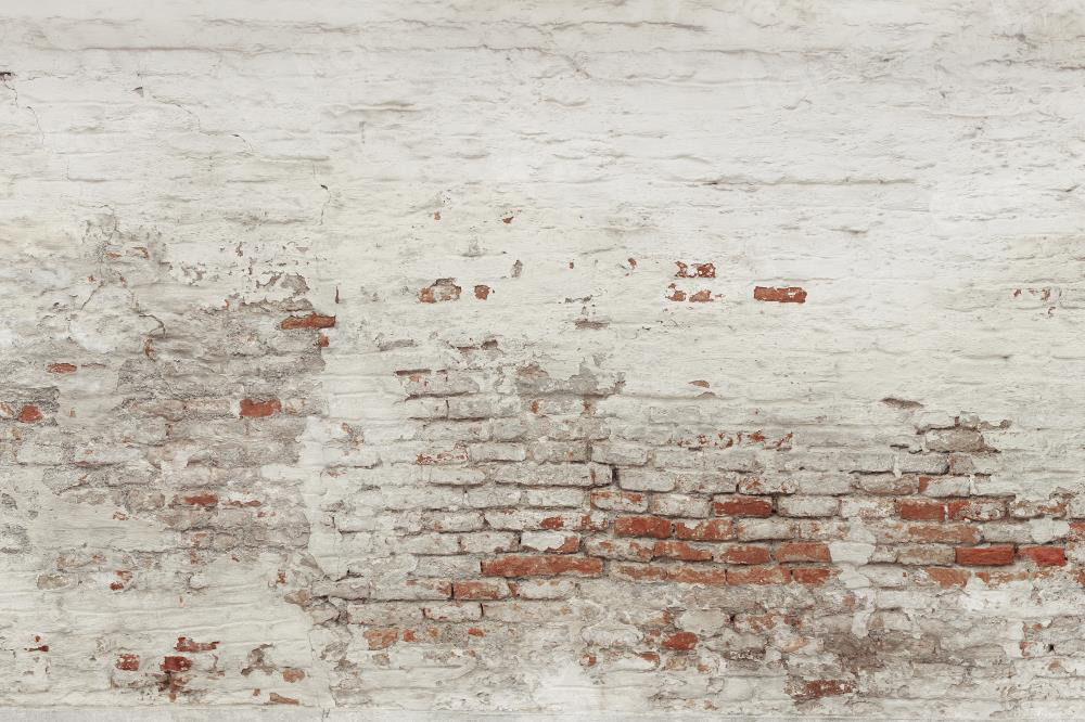 Kate Damaged Brick White Wall  Backdrop for Photography Designed by Pine Park Collection