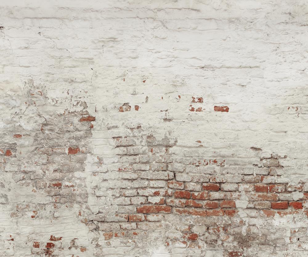 Kate Damaged Brick White Wall  Backdrop for Photography Designed by Pine Park Collection