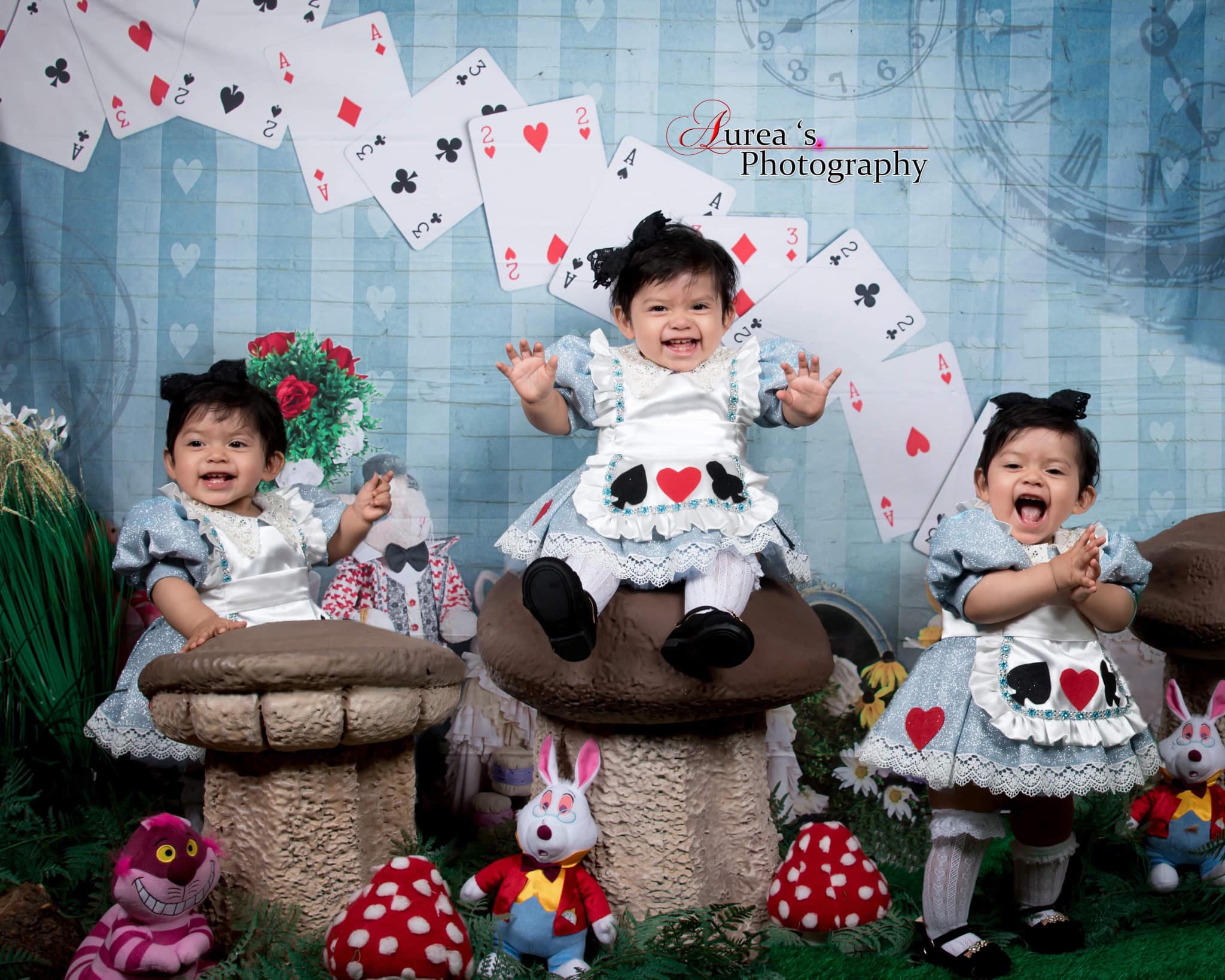 Kate Tea Party with Alice Backdrop Designed by Mandy Ringe Photography - Kate Backdrop AU